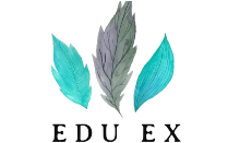 EDU-EX Academy